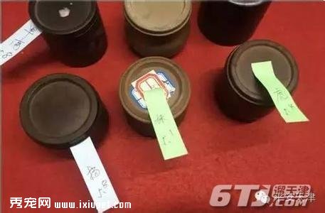 �����������ٶ����жĲ��ѵ�