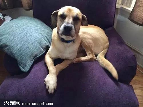 һ��X��Ƭ��ʾ����ֻ���������������Ĺ�ȥ����