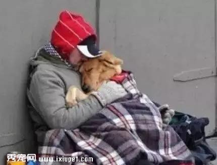 Ϊʲô���˺��Ĺ����Ƕ���ô��?