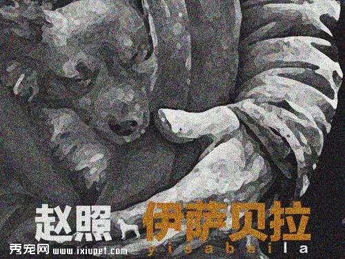 ��������һ��Ϊ���粻������ ���ѹʹ��������ĸ���