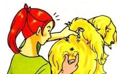 Ȯè�����ٷ���,���Ԥ�������ƣ�