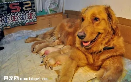 Ϊʲô�ڳ������ܺ󣬹�������������֢״��