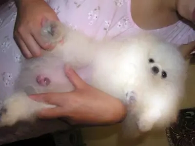 Ϊʲô��Щ������ֻ��һ����������û�е�����