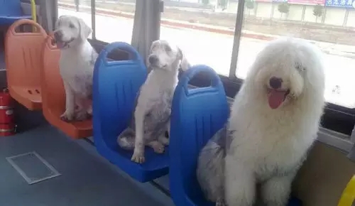 ���˼��|�������Ϸ�����һĻ��ʾ�����������Ļ�����ҵ���������ϵĲ���