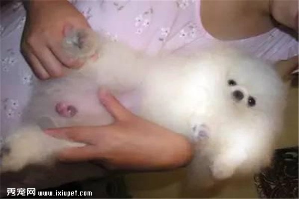 ������û�е�����ֻ��һ���������ǲ��Ǻ�����أ�������