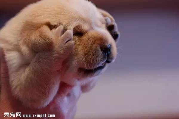 ������û�е�����ֻ��һ���������ǲ��Ǻ�����أ�������