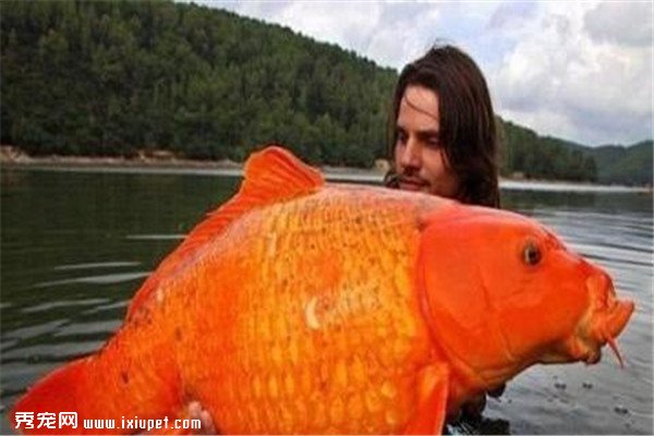 ����ʮ��ֲ����Ͷ����̵㣺������峤��15�ף�