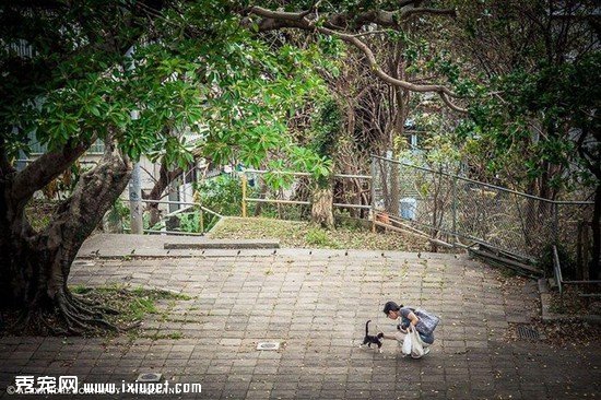 �ձ���������Ӱʦ��ͷ�µ�����������