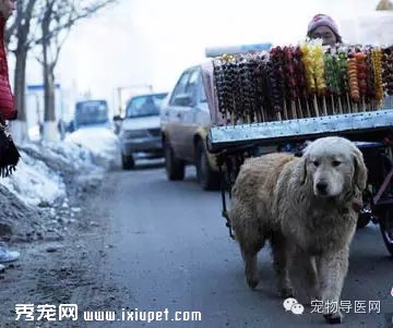 �Ӳ���ĸ��,�����Ӽ�ƶ,Ȼ��...