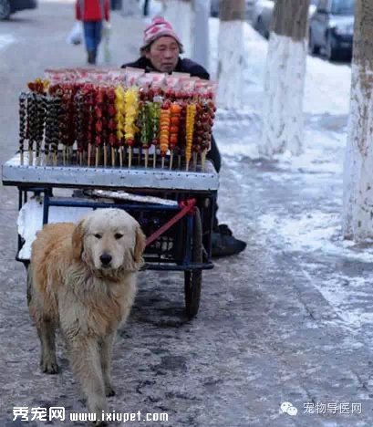 �Ӳ���ĸ��,�����Ӽ�ƶ,Ȼ��...