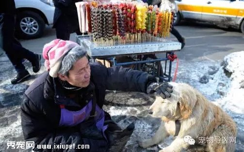 �Ӳ���ĸ��,�����Ӽ�ƶ,Ȼ��...