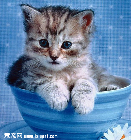 �豭è�����е�ע��������˽���٣�