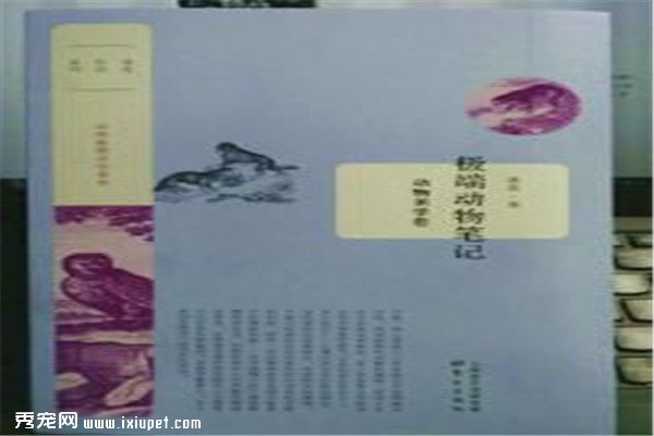 �����ڶ��ﲿ����˼�ʫѧ������Ҳ������ʫ�黭�⣡