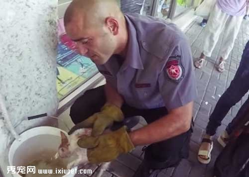 è���������������� ������Ա������Ԯ���ձ�!