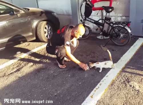 è���������������� ������Ա������Ԯ���ձ�!
