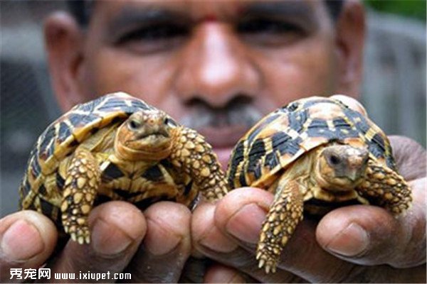 ���綯�ﱣ��Э�����ƣ��Ƿ�ó����ʹӡ���ǹ����������!