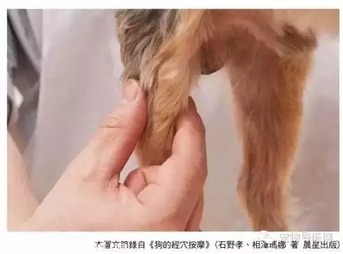 ��ҽʦ�״�5�и�������Ħ��ָѹ����ͼ�⡿