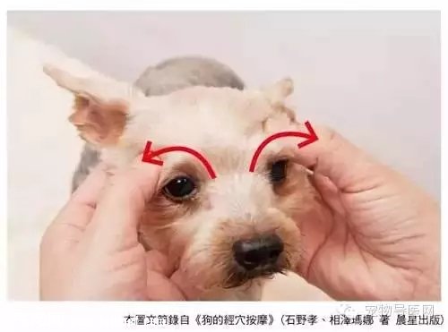 ��ҽʦ�״�5�и�������Ħ��ָѹ����ͼ�⡿