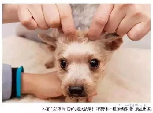 ��ҽʦ�״�5�и�������Ħ��ָѹ����ͼ�⡿