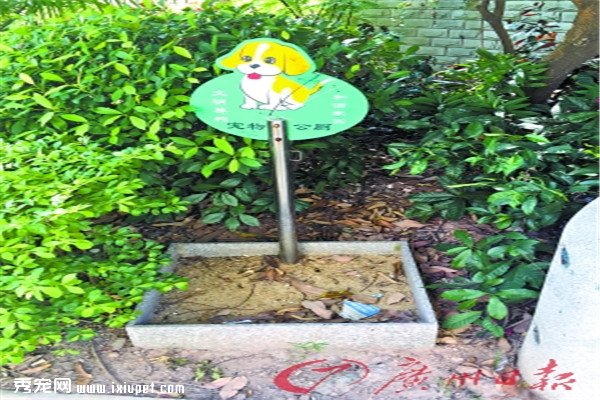  ר�ұ�ʾ����������Ϊ���� ���ڳ��﹫�޳ɰ��裡