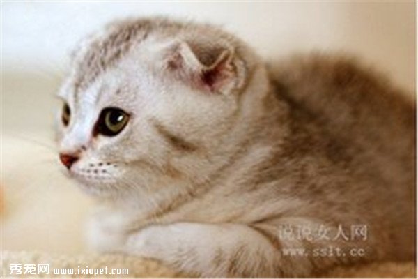 ��������:��Я���߲������� �������ﲻ���ף�