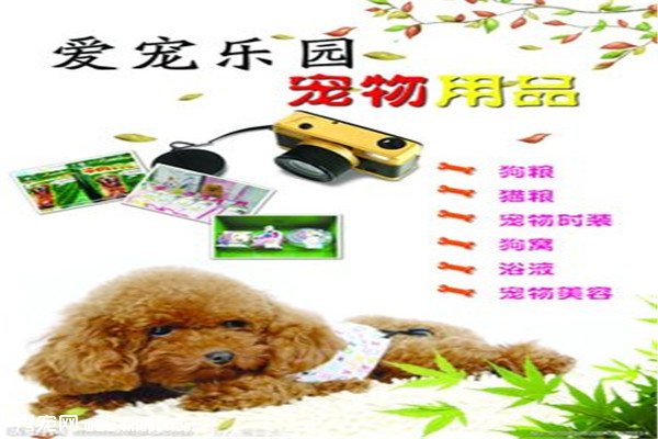 ������Ʒ�����ֿᣬ�ǲ���Ҳ��Ҳ�������أ�