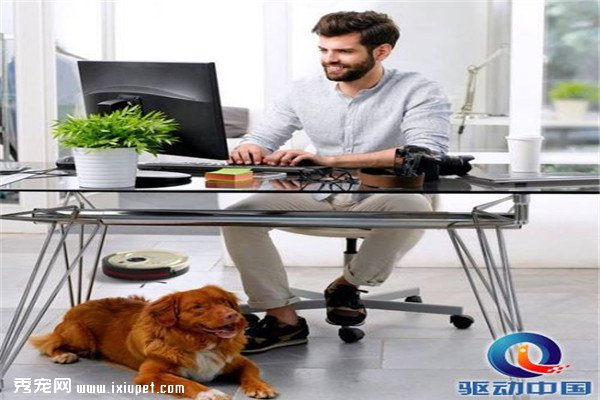 �������ë���������� Bobsweepɨ�ػ����ˣ�