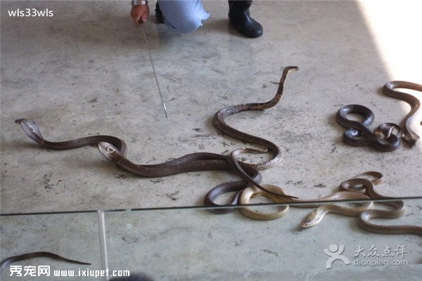 ���ڽػ�13�������뾳��������ߣ�