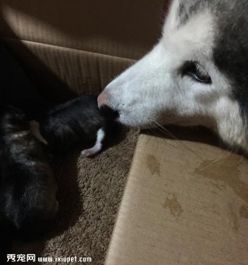 ����һҹ���������ˣ�һ��һ���ĺÿɰ�