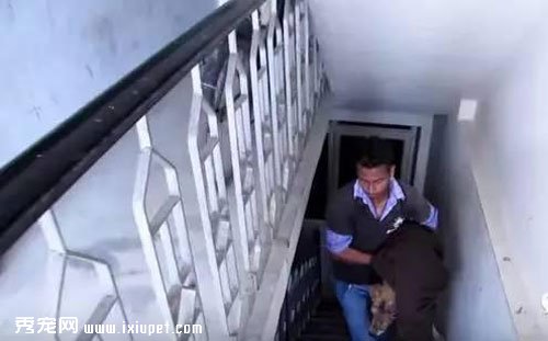 �����˵Ĺ������������ܵ������ҵ�����ֱ����������