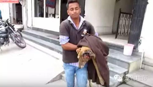 �����˵Ĺ������������ܵ������ҵ�����ֱ����������