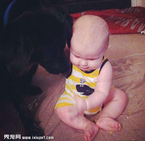 �𾪣���Ȯ�Լ��ﱣķ�쳣�׺ݣ������ԭ����ŰӤ��