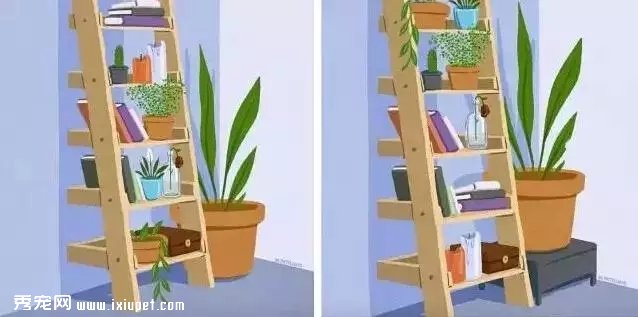 ��èǰ��Աȣ�����һƪèū��Ѫ��ʷ