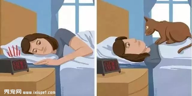 ��èǰ��Աȣ�����һƪèū��Ѫ��ʷ