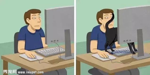��èǰ��Աȣ�����һƪèū��Ѫ��ʷ