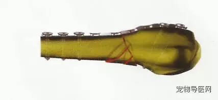 ���������á�����èè���۹̶�������ʧ��ԭ�����