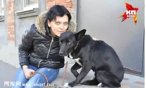 ����Shavi���پ�ʮ����������ؼ�·��ͼ��
