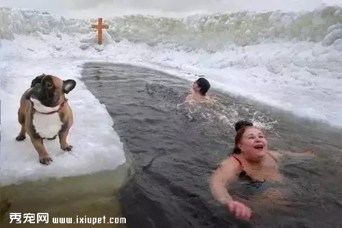 ���ڱ����Ĵ�ѩ�춳�ɹ� ��ȴ���Ϸ�����������д�棡