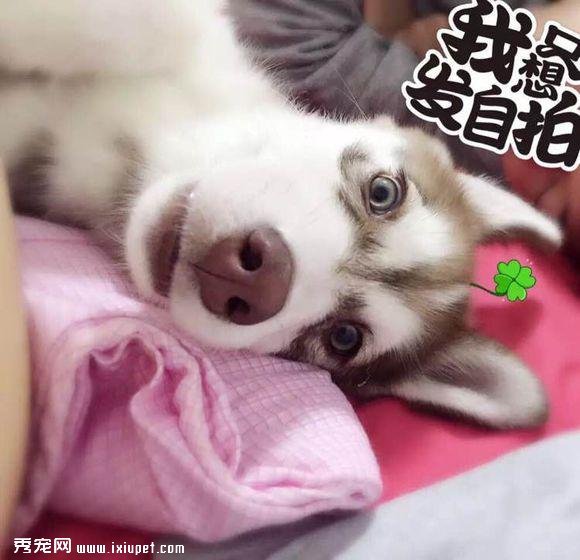 ������Ů�����ʿ���ػ�����ϣ���������а�����ʿ����