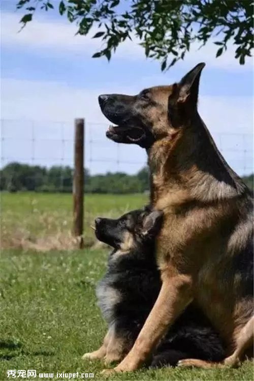 ������ѵ�һ���Ķ��ﾪ����Ƭ�������Ķ��ǰ���