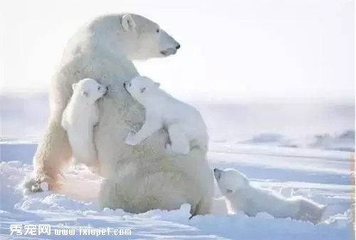 ������ѵ�һ���Ķ��ﾪ����Ƭ�������Ķ��ǰ���