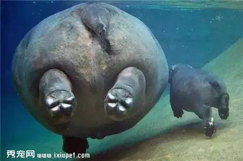 ������ѵ�һ���Ķ��ﾪ����Ƭ�������Ķ��ǰ���