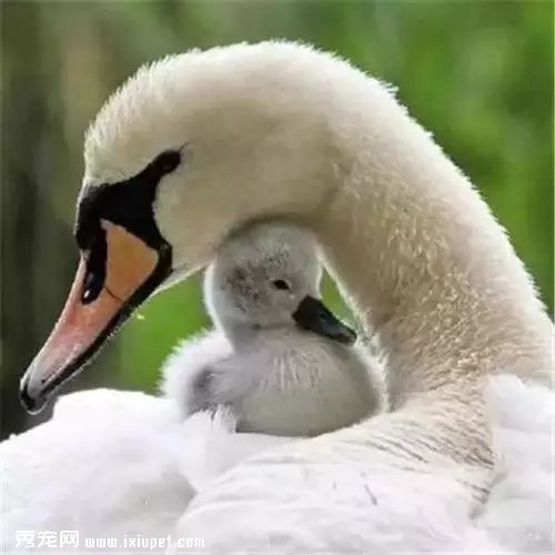 ������ѵ�һ���Ķ��ﾪ����Ƭ�������Ķ��ǰ���