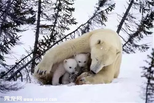 ������ѵ�һ���Ķ��ﾪ����Ƭ�������Ķ��ǰ���