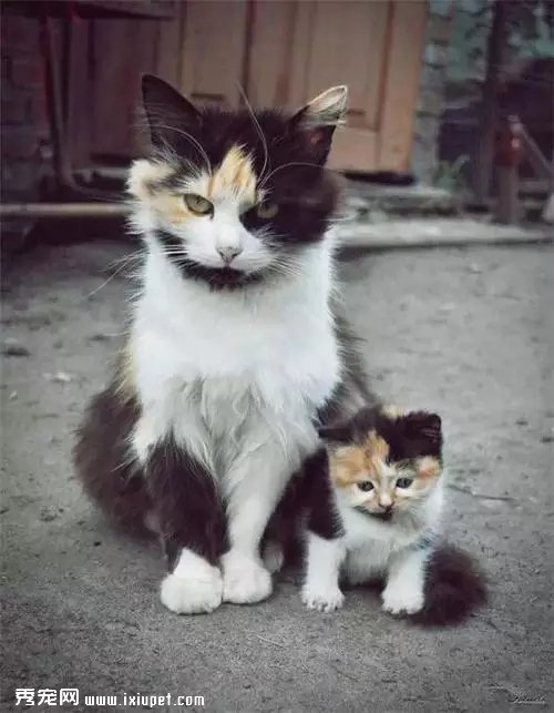 ������ѵ�һ���Ķ��ﾪ����Ƭ�������Ķ��ǰ���