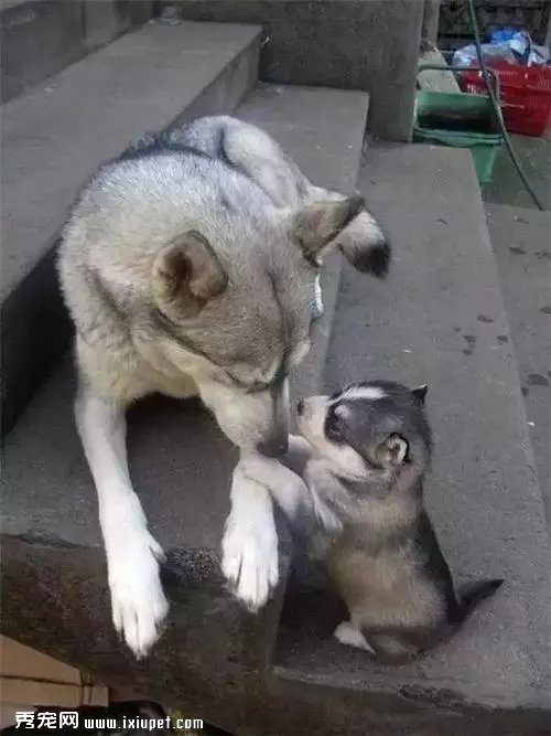 ������ѵ�һ���Ķ��ﾪ����Ƭ�������Ķ��ǰ���