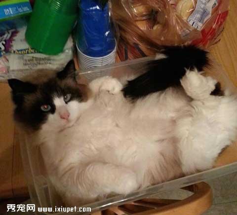 ������Щ�����ˣ���ʵ�����̲�ס�ˡ�