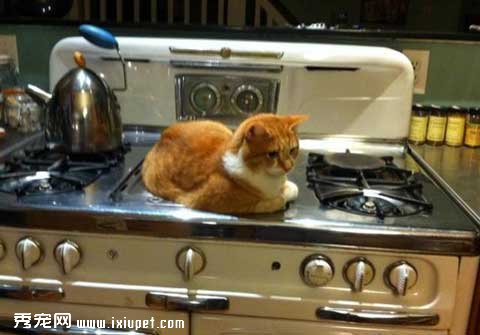 ������Щ�����ˣ���ʵ�����̲�ס�ˡ�