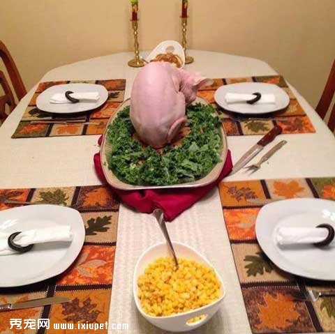 ������Щ�����ˣ���ʵ�����̲�ס�ˡ�