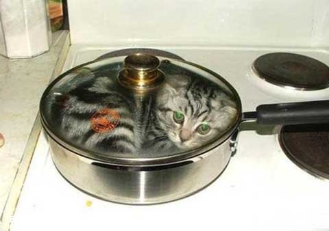 ������Щ�����ˣ���ʵ�����̲�ס�ˡ�